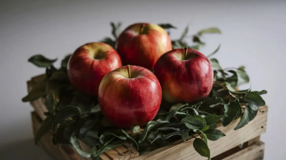 Comer maçã em excesso faz mal?