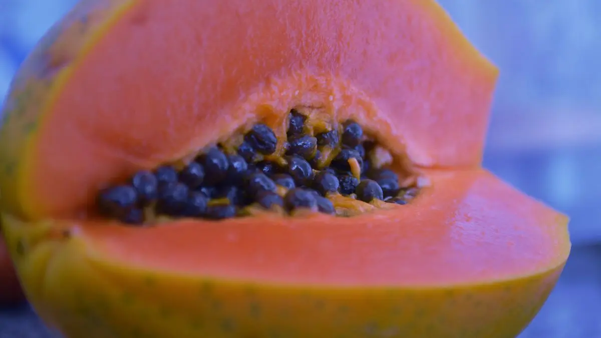 Mamão com mel: receita simples para o dia a dia