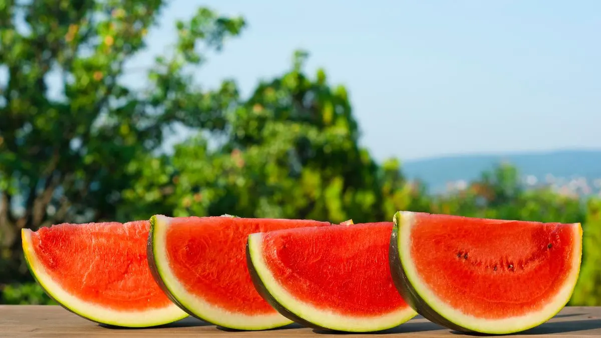 O que a ciência diz sobre o consumo diário de melancia