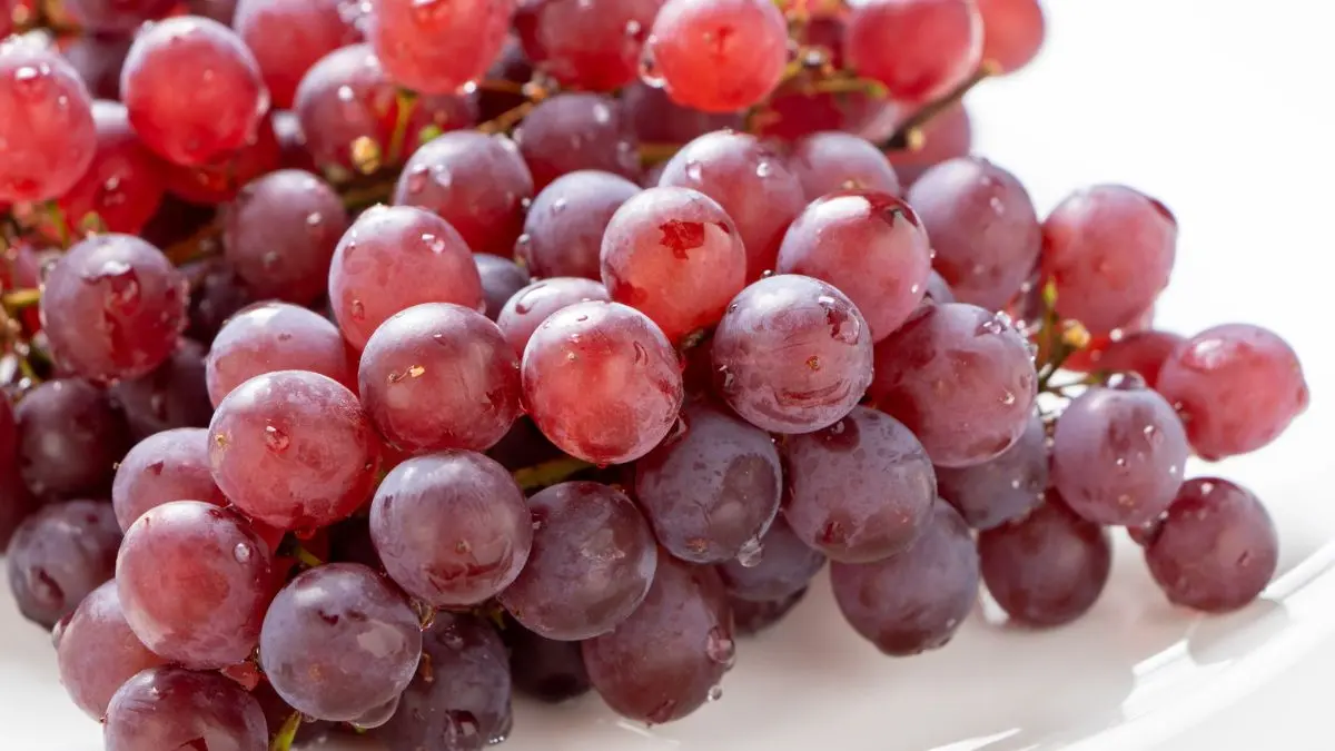 Consumo diário de uva protege o coração e reduz riscos vasculares